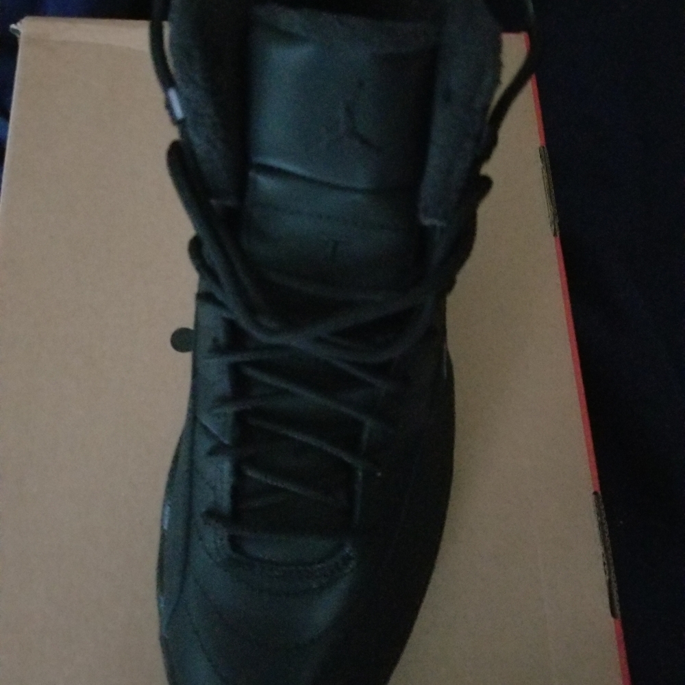 Jordan 12s